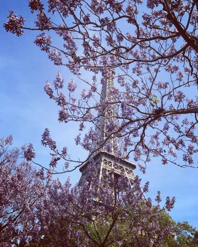 18422152_10212540038840767_3526831836595541426_o