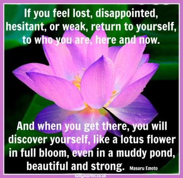 18881863_10212790741228170_2123133990684389987_n